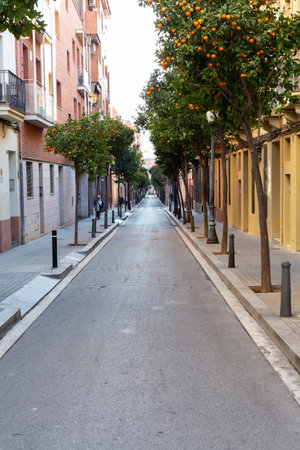 Pedestrian yield painted sign on cobblestone street surface in perspectiveの写真素材