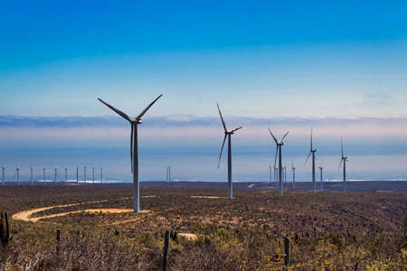 Wind turbines near the pacific ocean with blue sky background