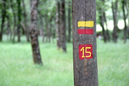 Hiking trail identification on a tree