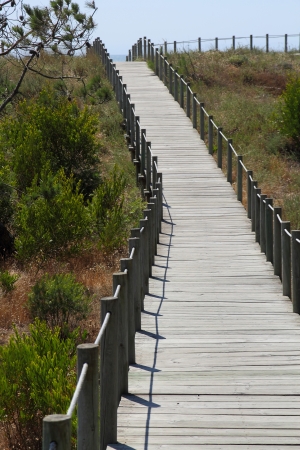 Wood pathway to the beachの写真素材