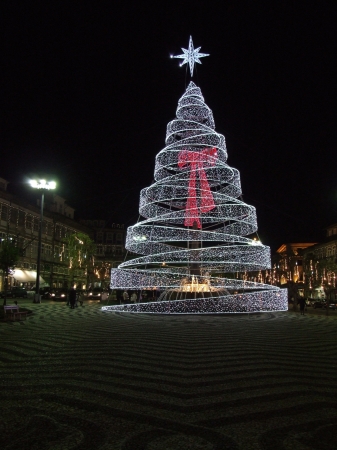 Night view of  a beautifull Christmas Treeの写真素材