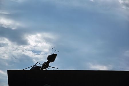 Huntの写真素材