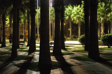 Park at nightの写真素材