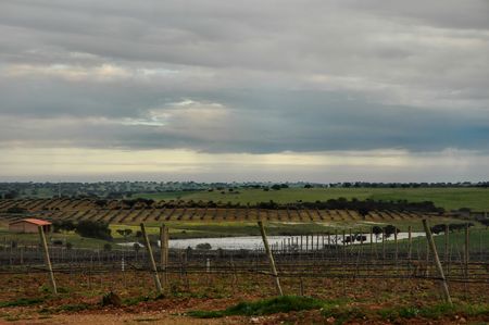 Portuguese farmの写真素材