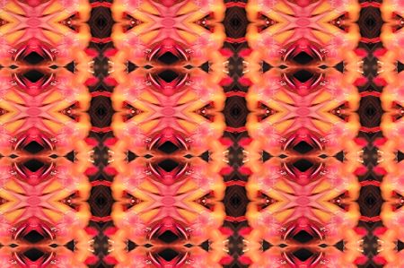 Patternの写真素材