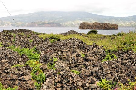 Typical vineyard at Azoresの写真素材