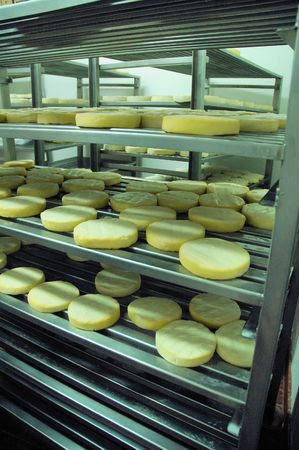 Cheese