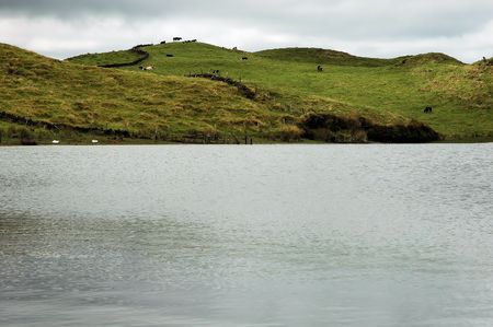 Lake and fieldの写真素材