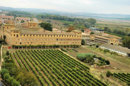 Historic building and vineyardの写真素材
