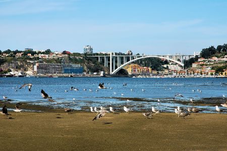 River and cityの写真素材