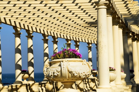 Pergolaの写真素材