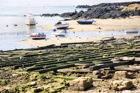 Boats on the river tide seeps and birdsの写真素材