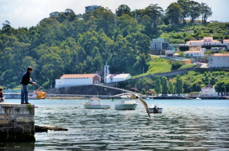 Scenic over the river Douro near the city of Portoの写真素材