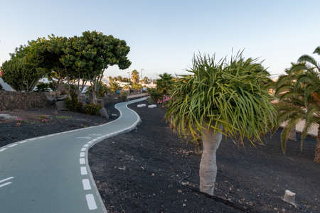 New promenade of Costa Teguise, Lanzarote, Spainの写真素材
