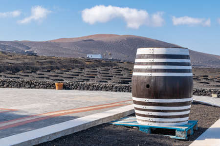 view of a vineyard where the grapes are processed and the exquisite wine is extracted Lanzarote, Canary Islands Spainの写真素材
