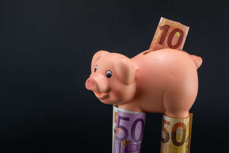 image of ceramic piggy bank with its legs lined in eurosの写真素材