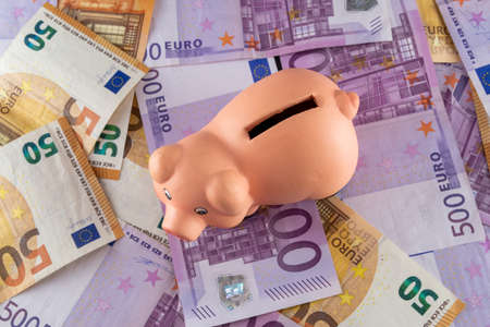 we appreciate a ceramic piggy bank figure with a pig figure and euro bills to be deposited in itの写真素材