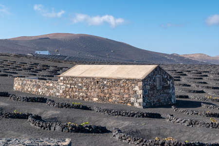 Image of old house in the vineyard area on the volcanic island of Lanzarote, Canary Islands, Spainの写真素材