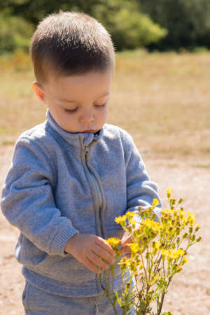child looking and touching a yellow flowerの写真素材