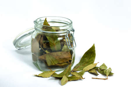 bay leaves in a glass jar with white backgroundの写真素材
