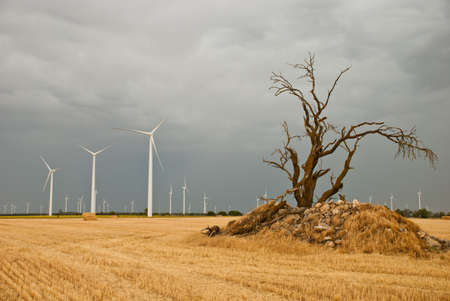 wind farm on farmland a stormy dayの写真素材