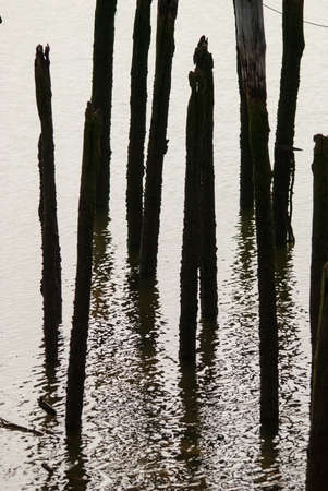 lights and shadows of wooden posts in the waterの写真素材