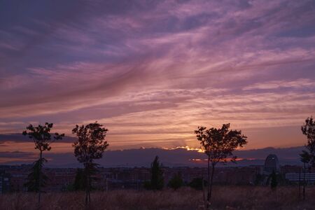Reddish sunset in Sanchinarro park in Madrid