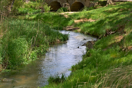 A river with a bridge over it. The water is clear and the grass is green. The scene is peaceful and sereneの写真素材