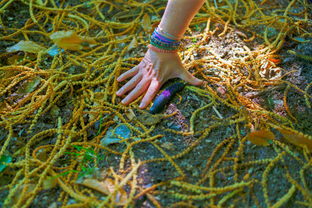 Close-up view of a woman intently observing a black slug as it crawls along the forest ground beside her hand, highlighting nature's detailsの写真素材