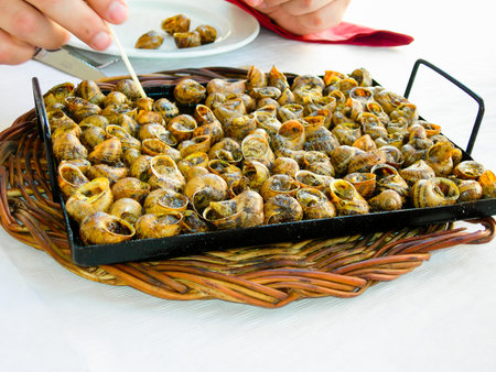 Hand holding toothpick picking a cooked snail from a serving tray filled with many snails. Traditional Mediterranean delicacyの写真素材