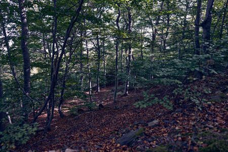 moncayo natural parkの写真素材