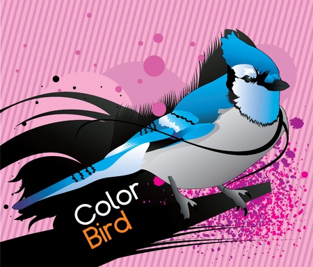 color bird abstract  vectorのイラスト素材