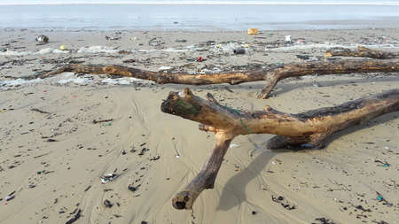 after the storm Beach covered with driftwood and garbageの写真素材