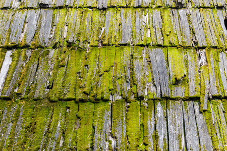 Old wood mossy shingles on a roof of a houseの写真素材