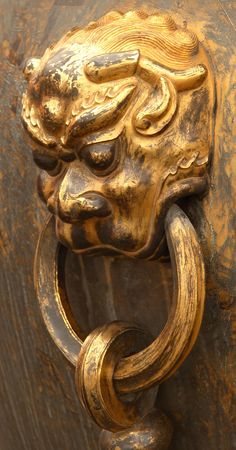 Golden lion の写真素材