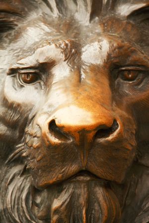 Lion statue in Shanghaiの写真素材
