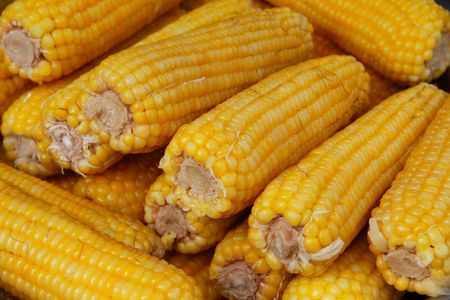Corn background