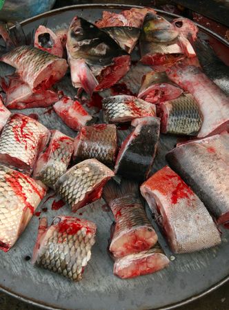 Bloody fish on food market in Hanoiの写真素材