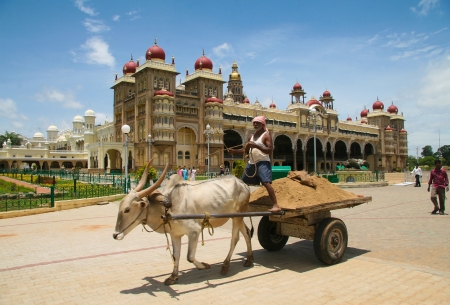 An unidentified man on an ox cart in front of Mysore Palace in Mysore, Karnataka, India, on September 11, 2008. Mysore palace is one of the most famous tourist attractions in India.のeditorial素材