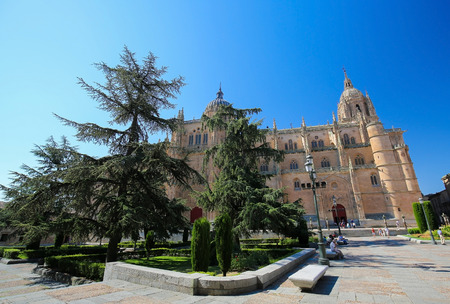 New Cathedral or Catedral Nueva of Salamanca, Spainのeditorial素材