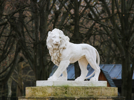 Statue of a Lion in the Jardin de Luxembourg, Paris, Franceの写真素材
