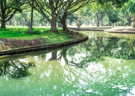 panoramic view of nice park with pond in sunny dayの写真素材