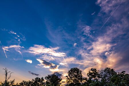 Lavender fields from the beautiful Bulgariaの写真素材