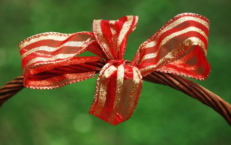 Ornamented red ribbon bow on green backgroundの写真素材