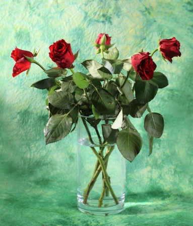 Bouquet of red roses in vase, on green backgroundの写真素材
