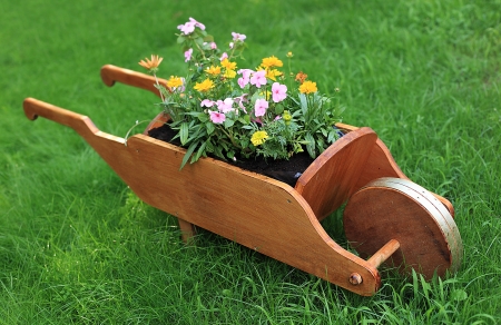 Wheelbarrow full of colorful flowers on a grass lawnの写真素材
