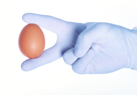 Holding an egg with gloved hand の写真素材