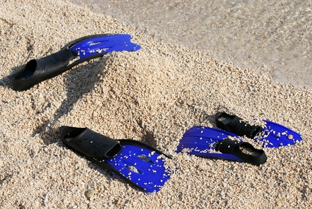 Blue fins sticking out of a mound of sandの写真素材