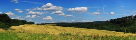 Summer panorama landscape with wheat fieldの写真素材