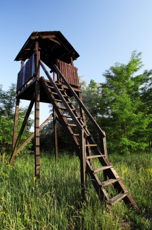 Lookout tower for hunters hidden in the forestの写真素材